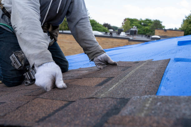 Best Metal Roofing Contractor  in New Hackensack, NY